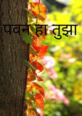 पवन हा तुझा