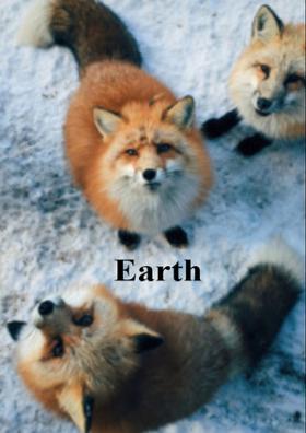 Earth