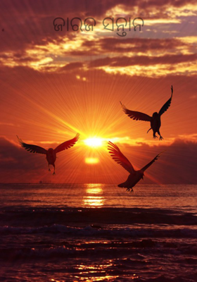 ଜାରଜ ସନ୍ତାନ