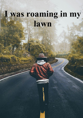 I was roaming in my lawn