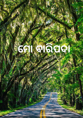 ମୋ ବାରିପଦା