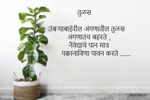 उंबऱ्याबाहेरील अंगणातील तुळस 
अंगणातच बहरते ,
नैवेद्याचे पान मात्र 
पक्वानाविणा पावन करते .......
 