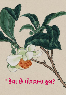 કેવા છે મોગરાના ફુલ ?
