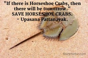 "If there is Horseshoe Crabs, then there will be tomorrow."
SAVE HORSESHOE CRABS.
- Upasana Pattanayak.