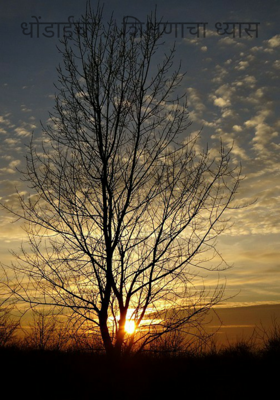 धोंडाईचा... शिक्षणाचा ध्यास