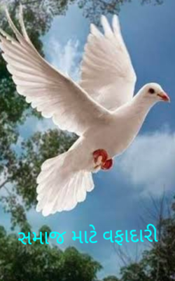 સમાજ માટે વફાદારી