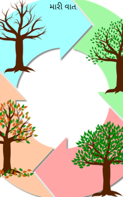 મારી વાત