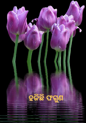 ହଜିଛି ଫଗୁଣ