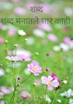 शब्दशब्द मनातले सार काही