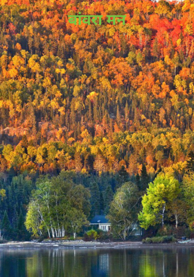 बावरा मन