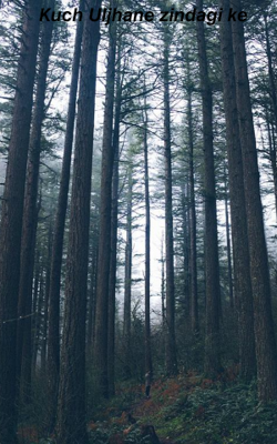 कुछ उलझनें जिंदगी की