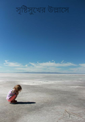 সৃষ্টিসুখের উল্লাসে