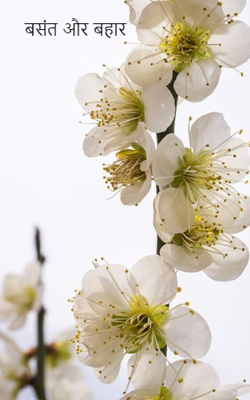 बसंत और बहार