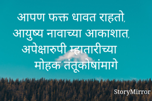 आपण फक्त धावत राहतो, 
आयुष्य नावाच्या आकाशात, 
अपेक्षारुपी म्हातारीच्या
मोहक तंतूकोषांमागे