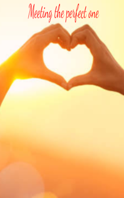 Meeting the Perfect One