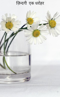 ज़िन्दगी  एक धरोहर