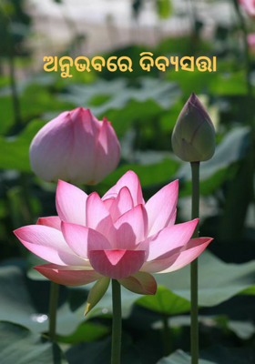 ଅନୁଭବରେ ଦିବ୍ୟସତ୍ତା