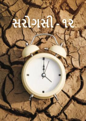 સરોગસી - ૧૨