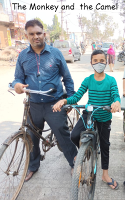 The Monkey And The Camel