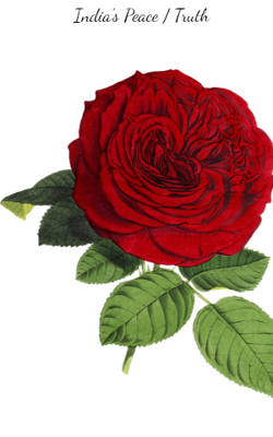 India's Peace / Truth