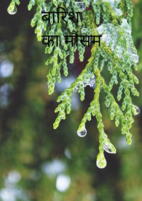 बारिश का मौसम