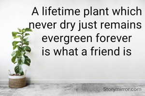 A lifetime plant which never dry just remains 
evergreen forever
is what a friend is