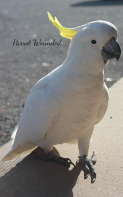 Parrot Wounded