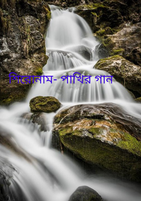 শিরোনাম- পাখির গান