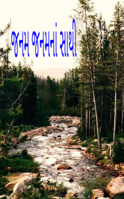 જનમ જનમનાં સાથી