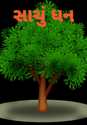 સાચું ધન