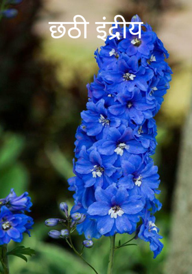 छठी इंद्रीय