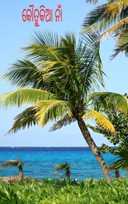 କୌତୁକିଆ ନାଁ