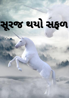 સૂરજ થયો સફળ