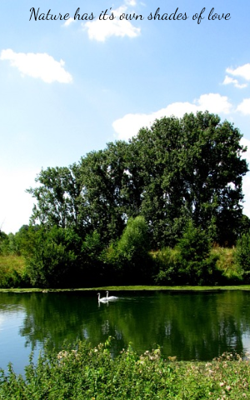 Nature Has It's Own Shades Of Love