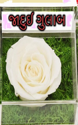 જાદુઈ ગુલાબ