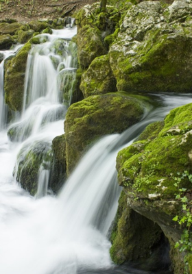 આવ રે મેઘા