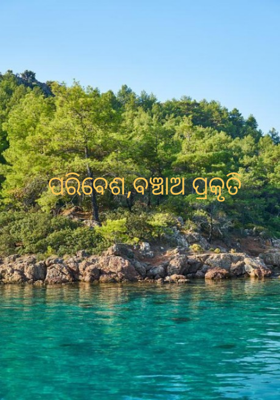 ପରିବେଶ,ବଞ୍ଚାଅ ପ୍ରକୃତି