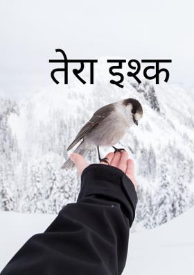 तेरा इश्क