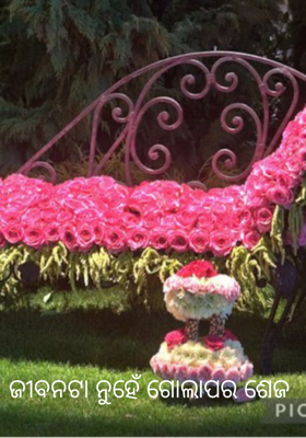 ଜୀବନଟା ନୁହେଁ ଗୋଲାପର ଶେଜ