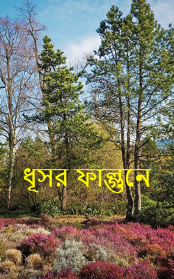 ধূসর ফাল্গুনে