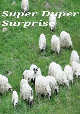 Super Duper Surprise