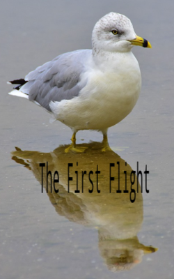 The First Flight