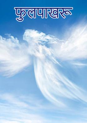 फुलपाखरू...