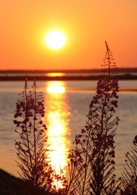 मंगळ सूत्र