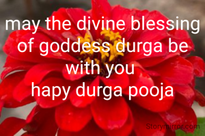 may the divine blessing of goddess durga be with you 
hapy durga pooja