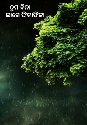 ତୁମ ବିନା ଲାଗେ ଫିକାଫିକା