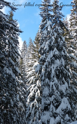 My Snow-filled Experience In Canada