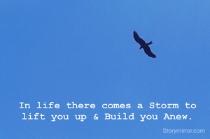 In life there comes a Storm to lift you up & Build you Anew.