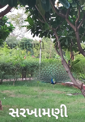 સરખામણી 