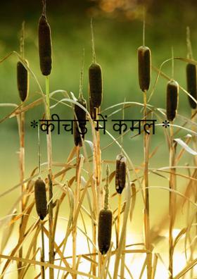 कीचड़ में कमल